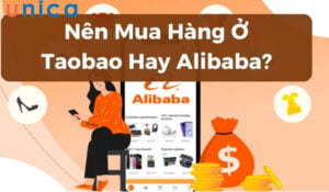 1702536335 nen mua hang o taobao hay alibaba.jpg