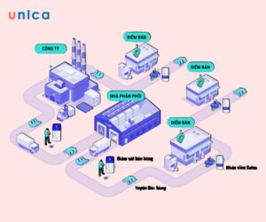 1705558708 kenh phan phoi.jpg