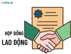 1706090125 hop dong lao dong.jpg