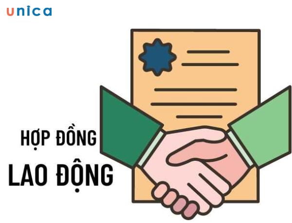 1706090125 hop dong lao dong.jpg