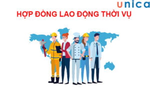 1706176934 hop dong lao dong thoi vu.jpg