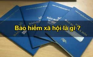 1613527781 che do bao hiem xa hoi 1.jpg