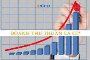1648176333 doanh thu thuan la gi.jpg