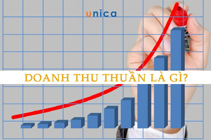 1648176333 doanh thu thuan la gi.jpg