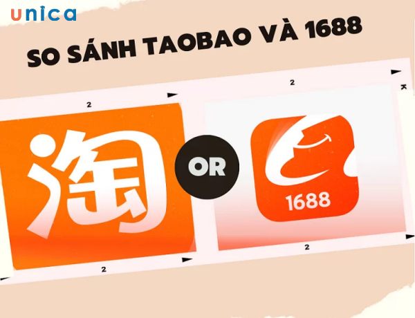 1702431675 nen mua hang taobao hay 1688.jpg