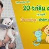 KhoÁ HỌc Grooming NghỀ ChĂm SÓc ThÚ CƯng